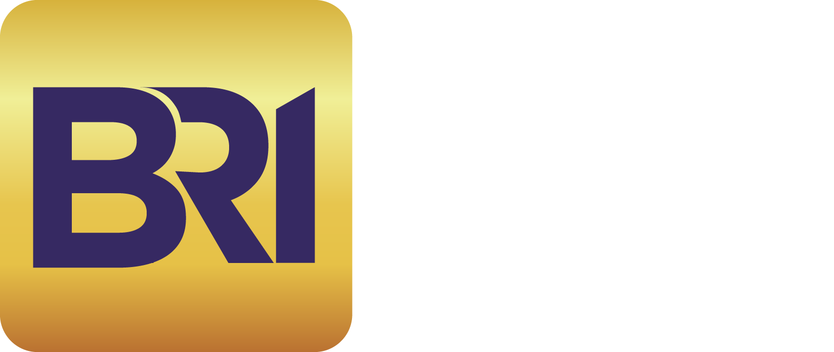 BoardReady Institute